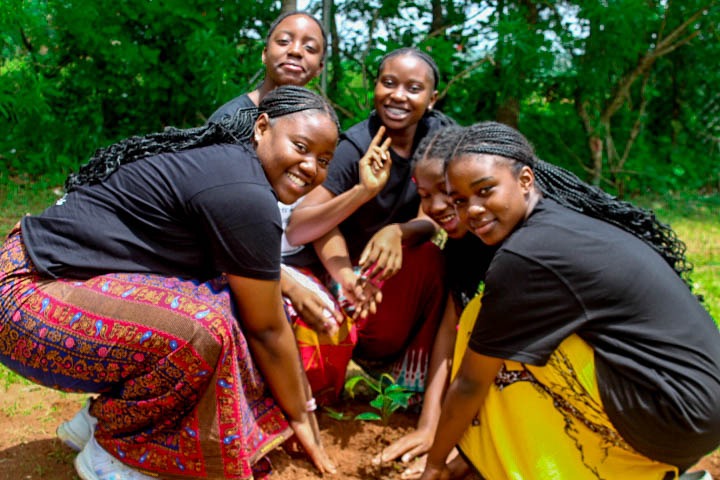 Kamuzu Academy Annual Tree Planting exercise 2025 - Image 3
